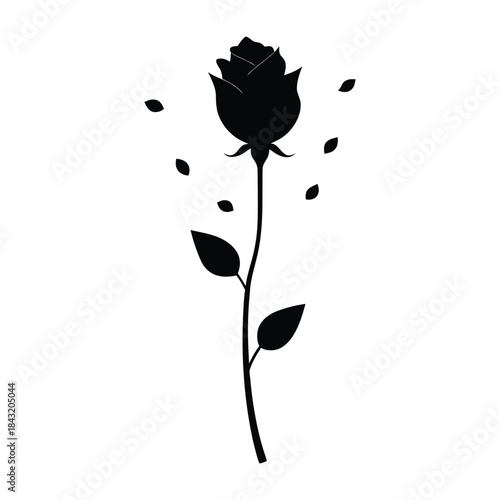  Valentine Rose Silhouette with Falling Petals