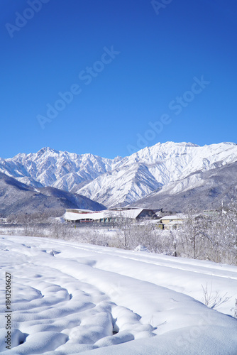 雪景色の白馬村と北アルプス