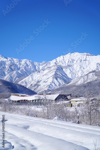 雪景色の白馬村と北アルプス