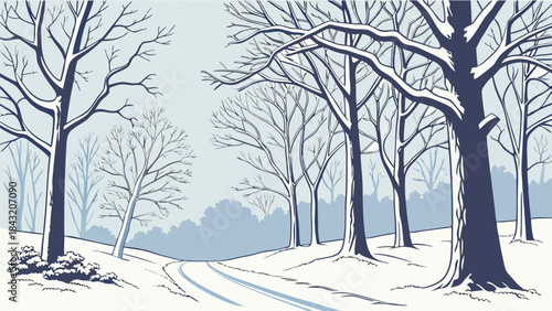trees in winter