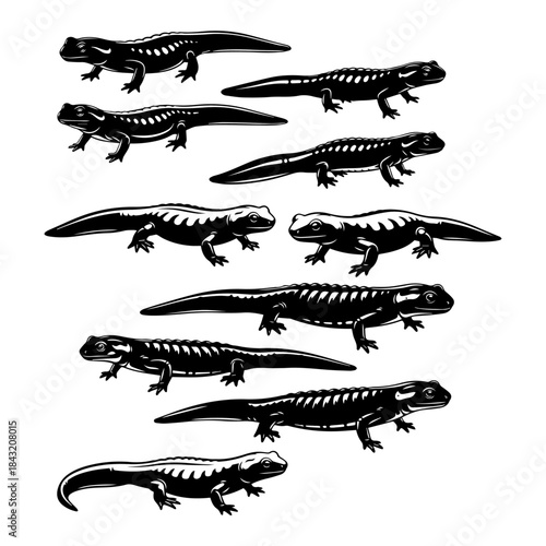 rough skinned newt sihouette set