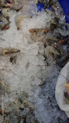 fresh shrimp shopping activity