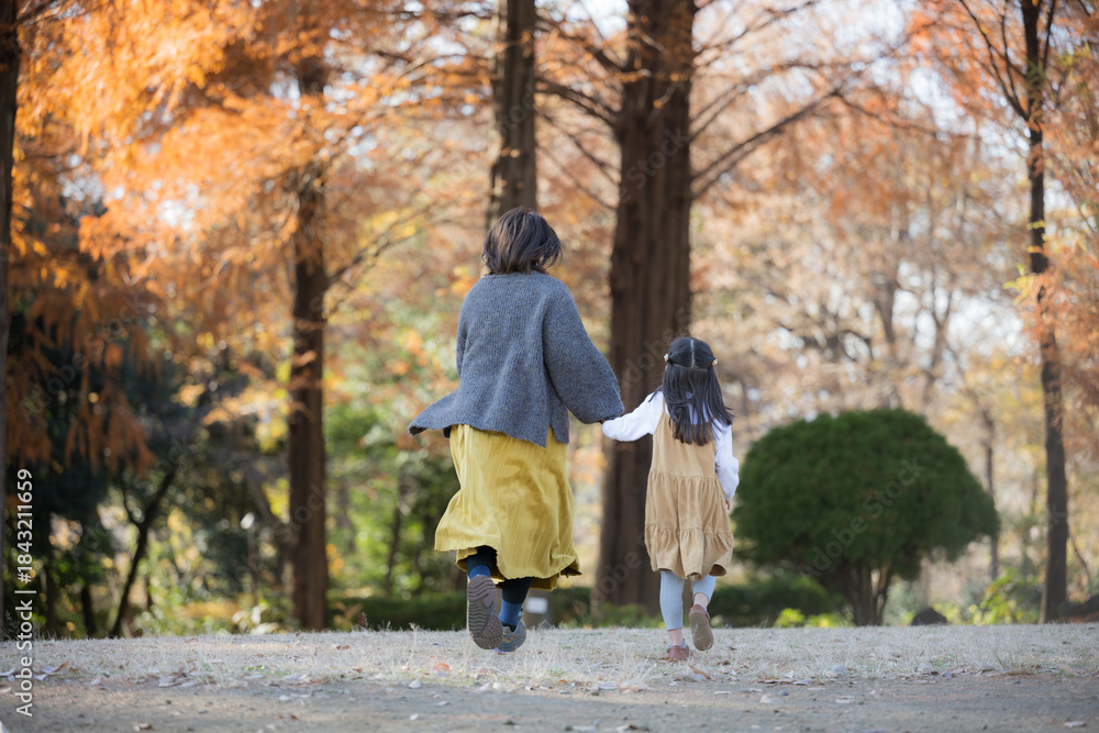 Fototapeta premium 秋の公園で一緒に娘と手を繋ぐちょっと高齢のママさん 顔無しの後ろ姿
