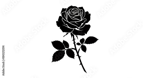 Elegant black rose silhouette with detailed petals, stem, and thorns, isolated on a white background, representing beauty and mystery.