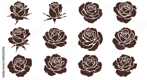 Collection of twelve detailed rose flower silhouettes in various stages of bloom, from bud to fully open, isolated on a white background.