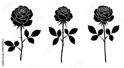 Three elegant black rose silhouettes with detailed petals, stems, thorns, and leaves on a clean white background, perfect for botanical designs.