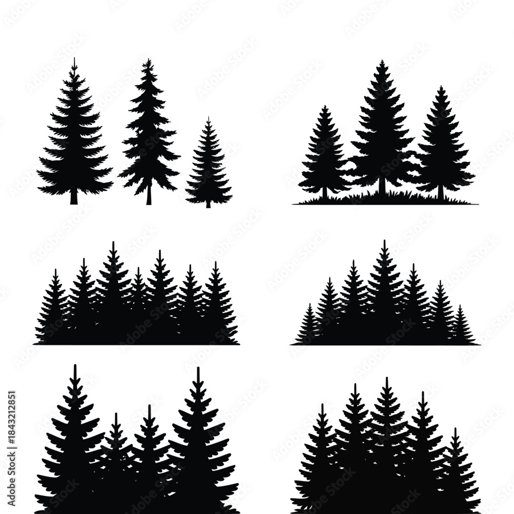 Obraz premium Set of black conifer tree silhouettes showing different forest scenes and single evergreen plants on transparent background