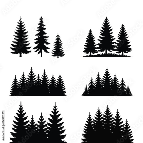 Set of black conifer tree silhouettes showing different forest scenes and single evergreen plants on transparent background