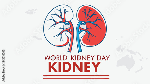 Celebrating world kidney day with a vibrant illustration of human kidneys and medical awareness