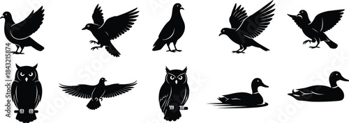 Bird silhouette vector set with flying, perched, and swimming poses including pigeon, owl, duck, and dove in black design