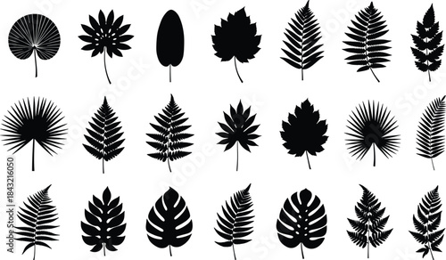 Black leaf silhouette collection featuring diverse botanical shapes, perfect for nature design, vector art, and educational plant identification projects.