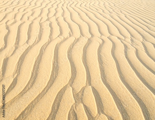 Close-up of undulating sand dunes, revealing textures and patterns from natural wind erosion