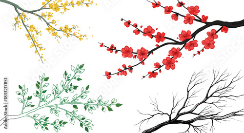 Decorative botanical branch vector collection featuring blooming flowers, leafy foliage, seasonal twigs, natural plant elements, and artistic floral illustrations in various styles