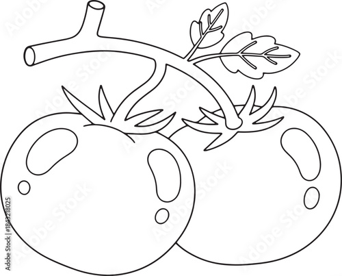 
Fresh tomatoes with stem and leaves, vegetable illustration in black and white line art outline style for coloring page or kitchen design.