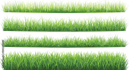 Realistic grass border vector set featuring lush green blades, natural outdoor textures, decorative lawn edges, and vibrant landscape elements for gardening, nature, and design projects