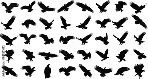 Eagle silhouette vector set, flying eagle poses, perched eagle clipart, bird of prey illustration, wildlife graphic, black eagle icons
