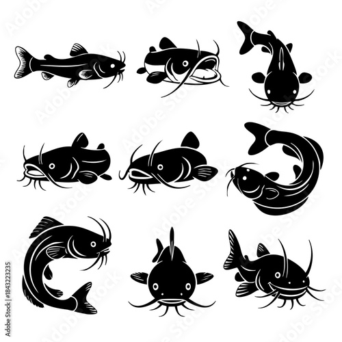 Set of Black Silhouette Catfish Illustrations in Various Poses