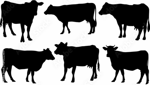 Collection of six distinct black and white cow silhouettes showcasing various farm animal poses and breeds