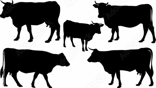 Collection of five distinct black cow silhouettes isolated on a clean white background for design use