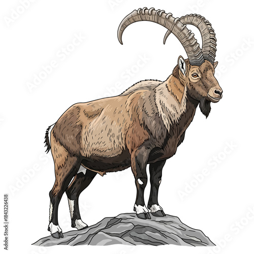 Mighty male ibex standing proud on mountain rock