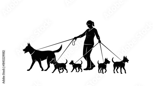 A person walking multiple dogs on leashes in a serene outdoor environment