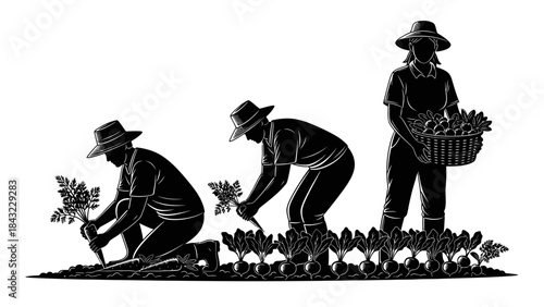 Farmers cultivating and harvesting crops in a field