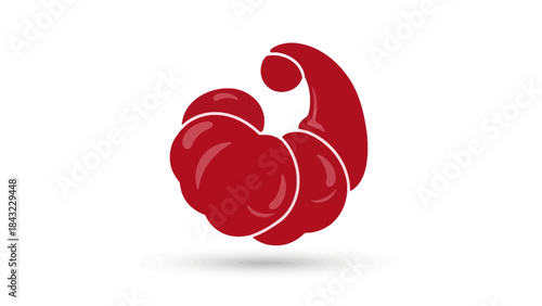 red rose isolated on white background