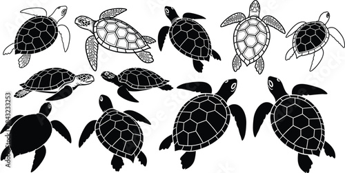 Sea turtle vector set in silhouette and outline, depicting various swimming and perspective views for marine wildlife and ocean design themes