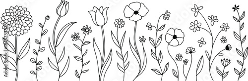 Black and white line of various flowers and plants 1