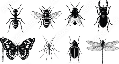 Insect silhouette vector set with ant, bee, fly, butterfly, beetle, mosquito, dragonfly, stag beetle for nature and science themes