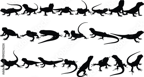 Lizard silhouette vector set with crawling, climbing, standing poses, reptile tail design for wildlife, nature, desert, and biology themes