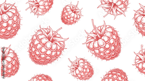 Raspberry pattern illustration, hand-drawn fruit sketch, botanical texture design, vintage berry art, packaging element, flat vector illustration