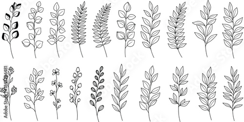 Botanical stem collection, floral line art, plant illustration set, leafy branch vector, nature sketch icons, flat vector illustration