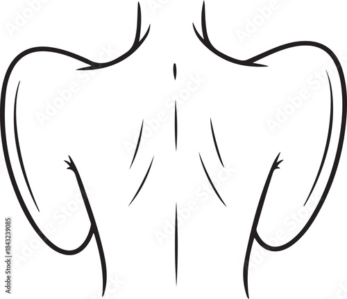 Human Internal Organ Line Icon