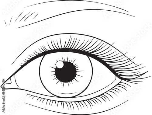 Human Internal Organ Line Icon