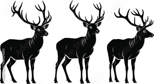 Silhouette of standing stags with large antlers – majestic deer illustration in black vector style for wildlife, nature, and design themes