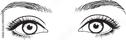 Human Internal Organ Line Icon