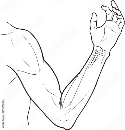 Human Internal Organ Line Icon