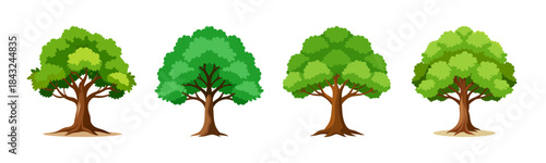 Four stylized green trees, vibrant foliage, brown trunks, isolated.