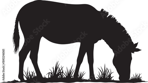  and zebra  black  silhouette vector illustration