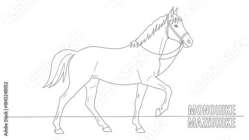 Line art horse illustration elegant equestrian animal in motion simple vector drawing for design