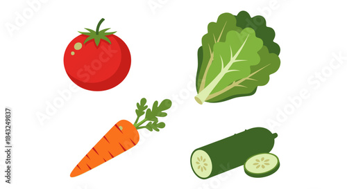 Fresh Vegetables: Tomato Lettuce Carrot and Cucumber Illustration.