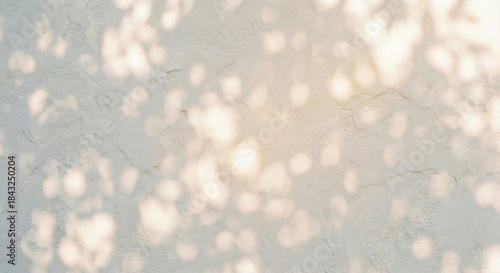 White plaster wall texture with dappled tree sunlight shadow