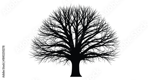 Silhouette of a large, bare deciduous tree with intricate branches against a white background, symbolizing nature and seasons
