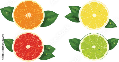 Set of Stylish Cartoon Sunglasses. Various Summer Eyewear Collection for Party and Fashion Accessories.