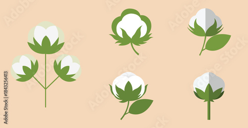 Cotton Plant Icons Set – Flat Vector Cotton Boll and Flower Illustrations