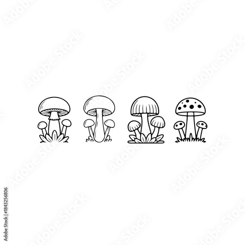 Mushroom Line Art Illustration. Detailed Isolated Mushroom Illustration Fungi Organic Autumn Vegetarian Food.