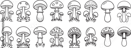 mushroom icon set nature vector schampignon; fungi; magic; cartoon; toadstool; stipe; vignetting; fungal