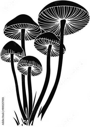 Mushroom Line Art Illustration. Hand drawn growing mushroom, mushroom; champignon; fungi; toadstool; stipe;