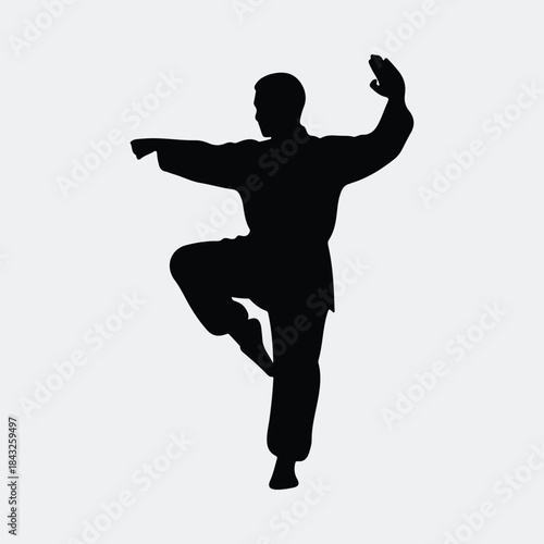 Silhouette male figure practicing traditional martial arts pose balance movement vector illustration